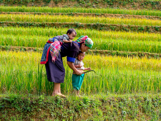 Vietnamese woman and children in a field